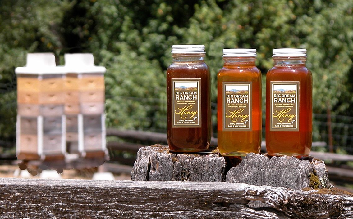 Beehives and Big Dream Ranch honey