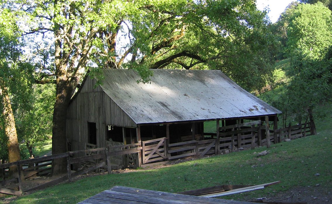 Sheep and the original Sheep Barn