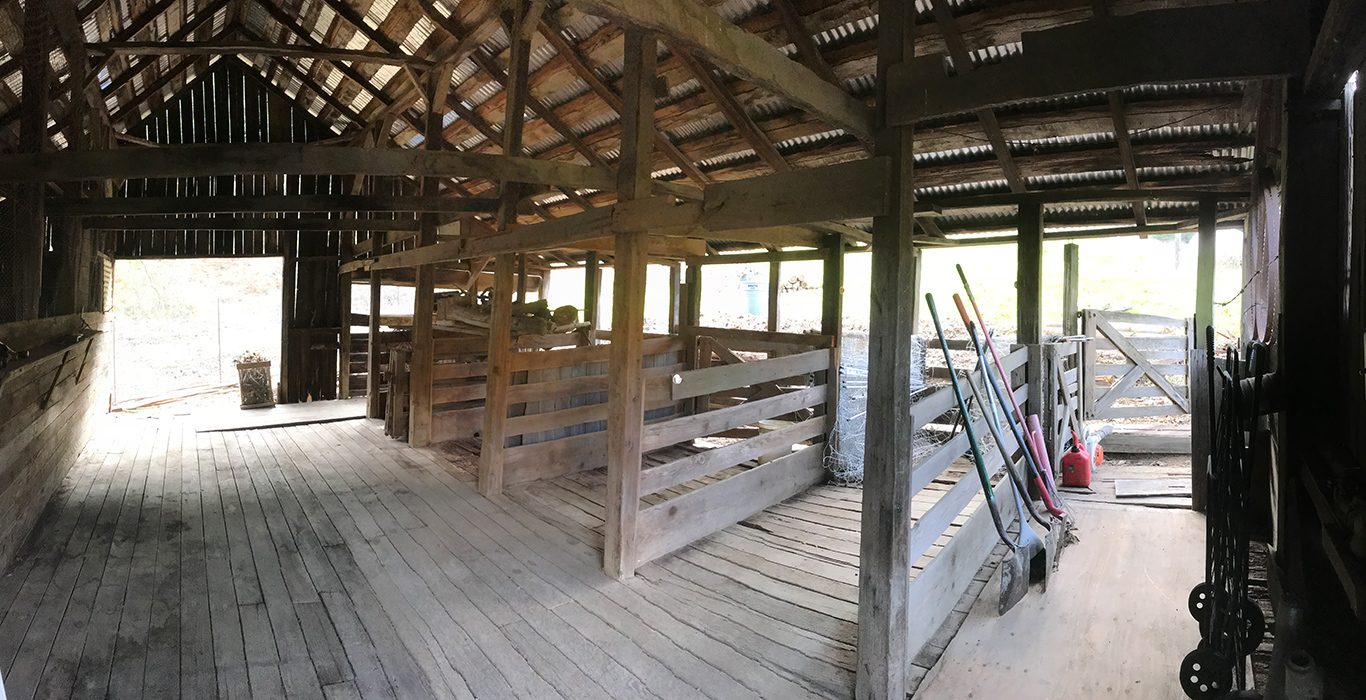 Sheep and the original Sheep Barn