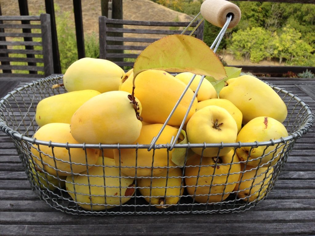 Canning and preserving at the Foodshed