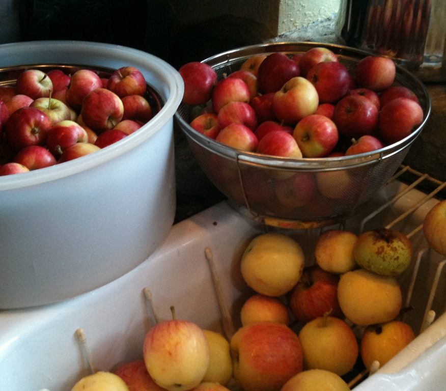 Canning and preserving at the Foodshed