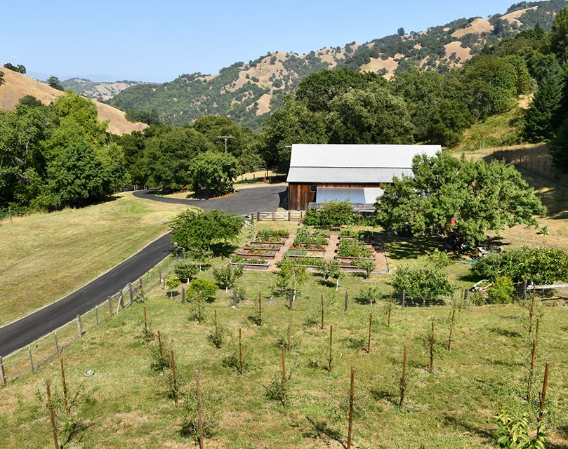 Barn and orchard on the hillside above the road