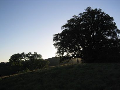 Land at Big Dream Ranch