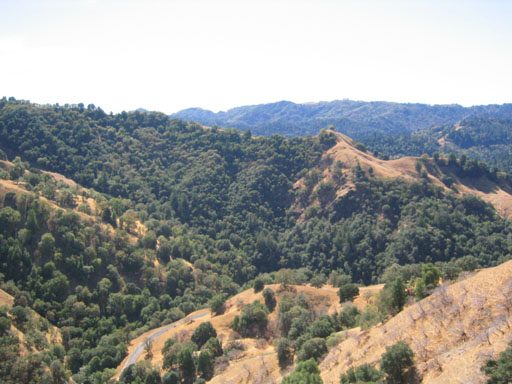 Land at Big Dream Ranch