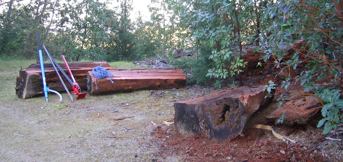 Milling wood at Big Dream Ranch