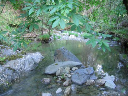 Water on the ranch