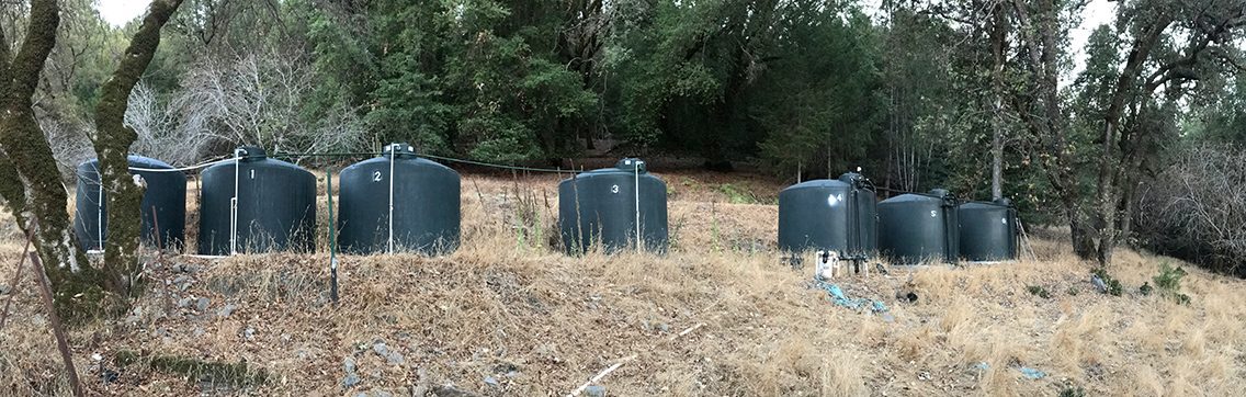 Water on the ranch