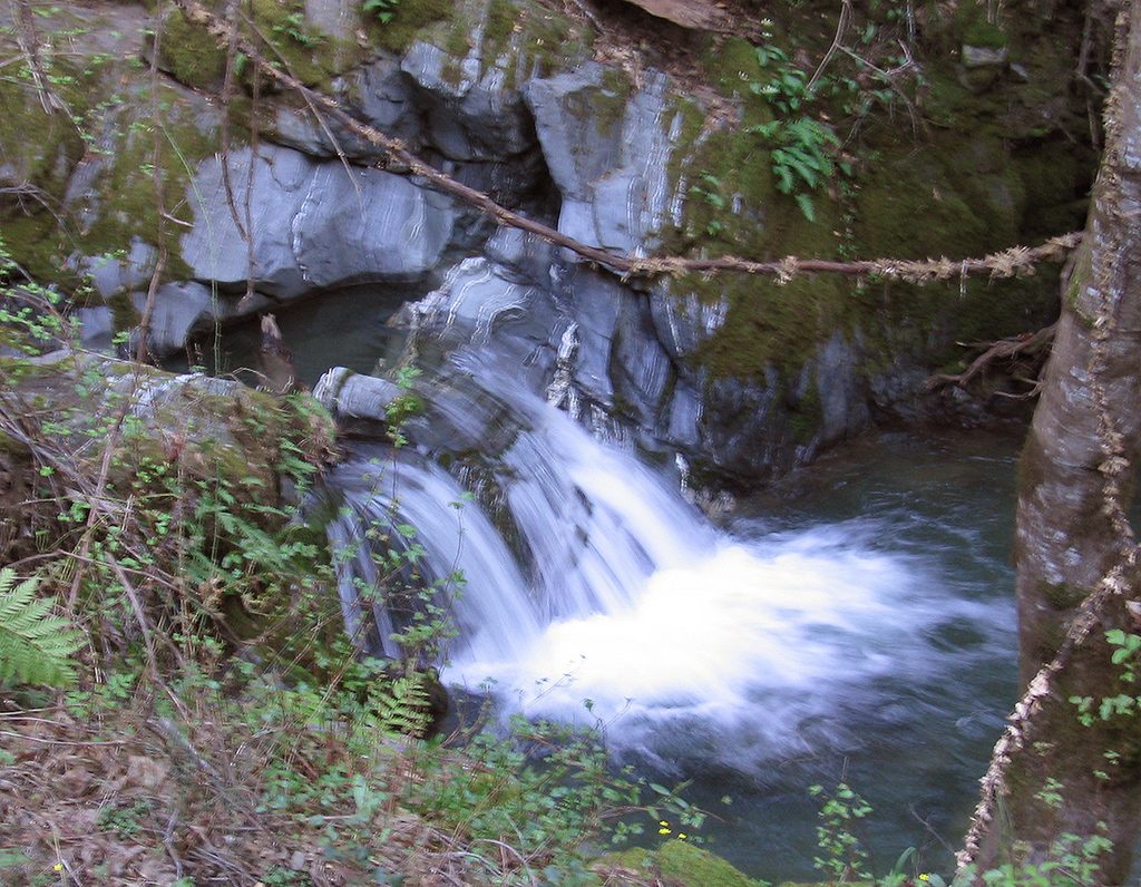 Water on the ranch